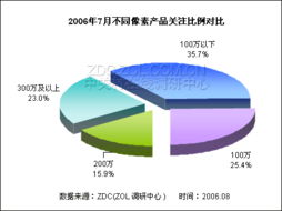 2006年7月數(shù)碼攝像機(jī)市場關(guān)注調(diào)查報告